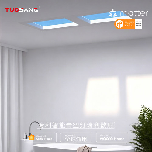 Matter Thread智能青空灯天空晴空灯厨房厕所Homekit/绿米Aqara