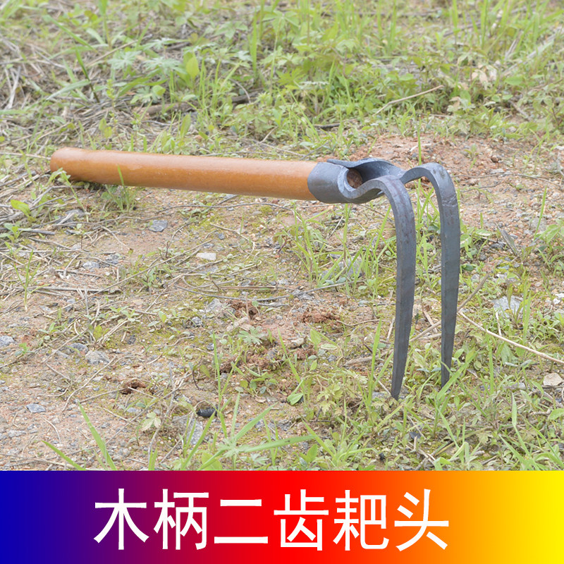 手工锻打一体二齿三齿木柄耙子锄头种菜种花钓鱼挖蚯蚓家用小耙头,鲜花速递/花卉仿真/绿植园艺,锄头,淘宝优惠券,粉丝福利购,淘宝优惠卷