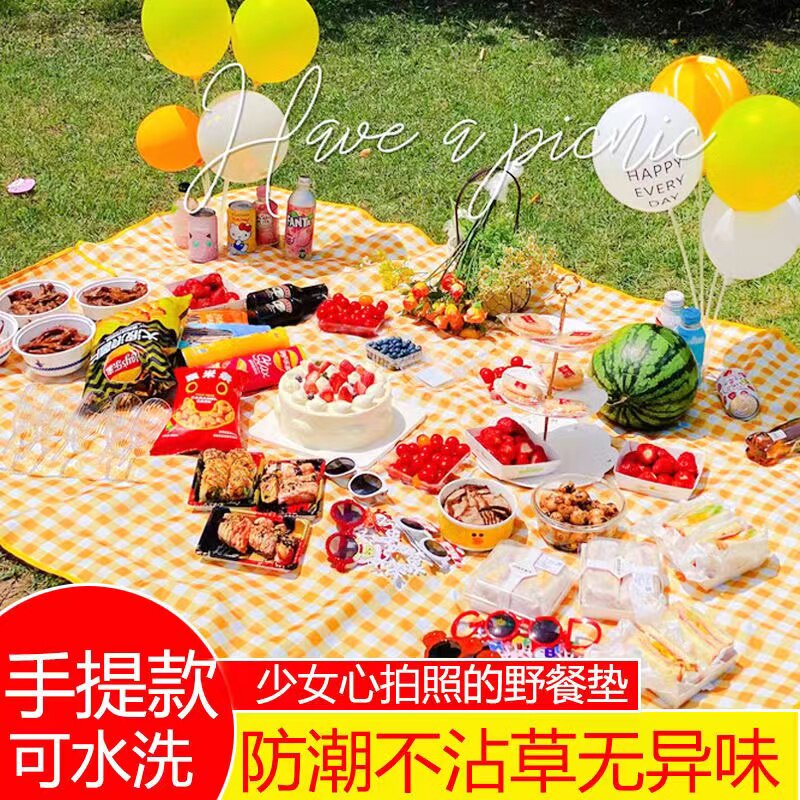 野餐垫野外郊游户外便携防水加厚野炊地垫草坪布春游用品防潮垫子