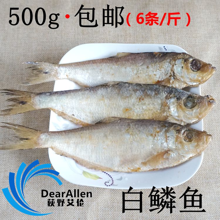 咸白鳞鱼500g 咸鱼干咸霉鳓鱼干