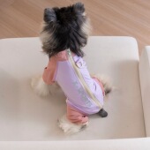 26春夏 雪纳瑞四脚运动服泰迪凉感四腿衣 DB动感冰冰凉凉防晒服