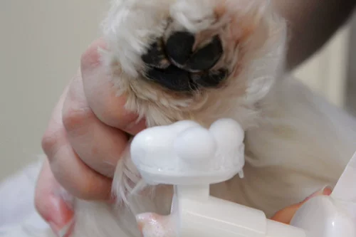 Не стирайте ноги каждый день!Уборка пены пены пены пена. Чистая стерилизация и стерилизация.