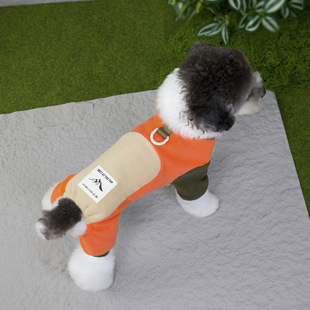 撞色帅气摇粒绒四脚衣 25秋冬DB 比熊家居服泰迪运动 包邮 三件