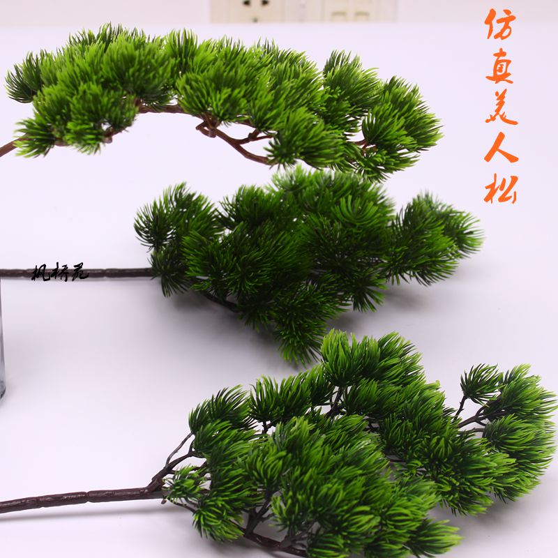 五针崖柏罗汉美人迎客松干花道具图片