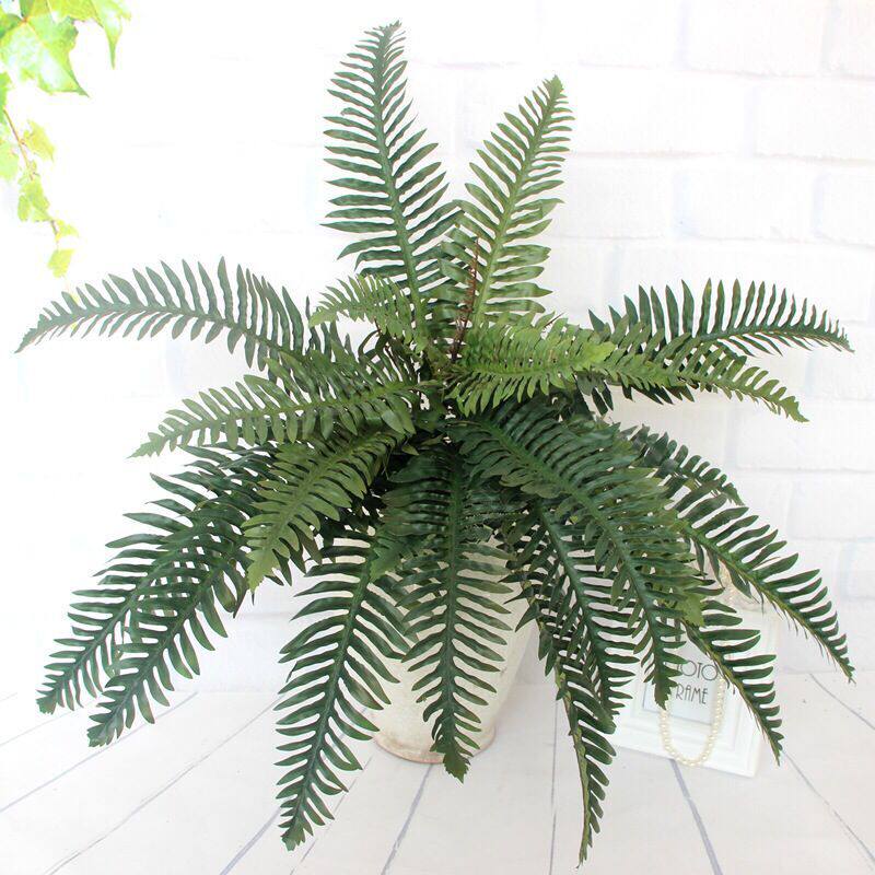 仿真蕨类植物波斯草蕨草仿真植物假植物绿植装饰塑料盆栽假草小草