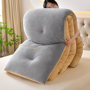 双人牛奶绒羊羔绒被子2025冬季 双面加绒被芯棉被冬天加厚保暖冬被