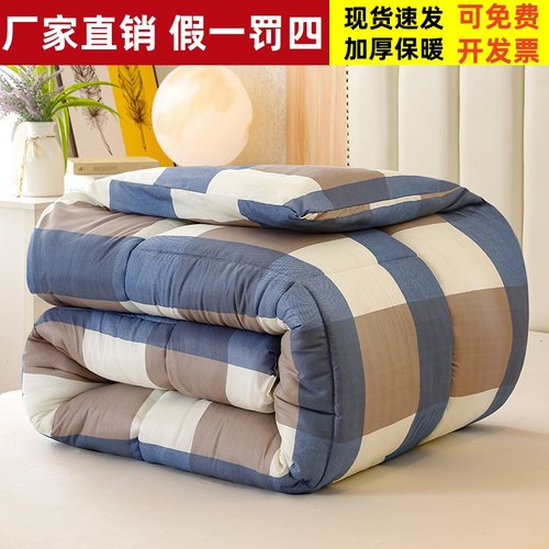 水洗棉加厚保暖四季通用单人被芯