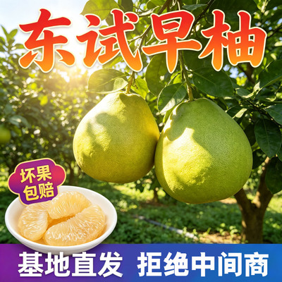 西双版纳白心早柚现摘整箱包邮
