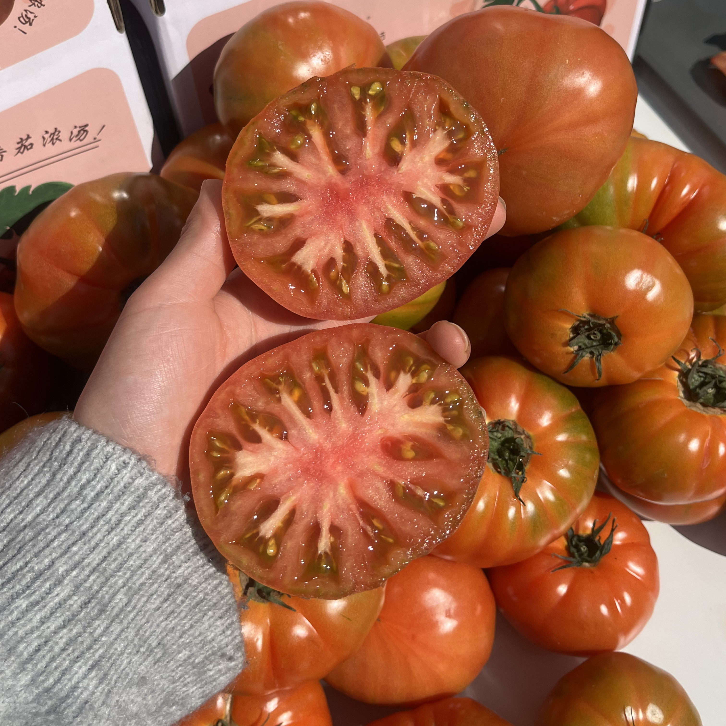 春一番云南浓汤番茄沙瓤顺丰包邮