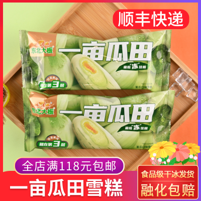 东北大板一亩瓜田冰淇淋香瓜蜜瓜
