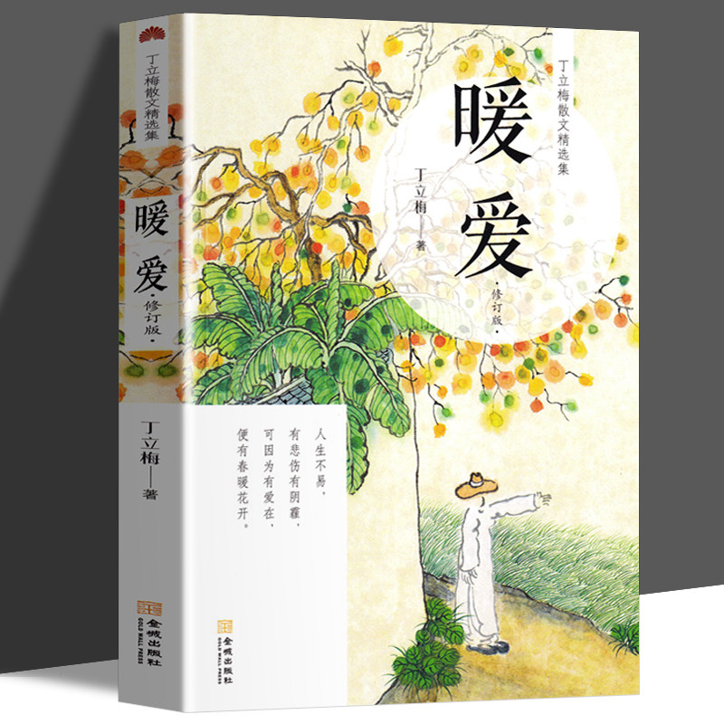 正版现货 暖爱 新版 丁立梅散文集作品系列 可搭配暗香 向着美好奔跑