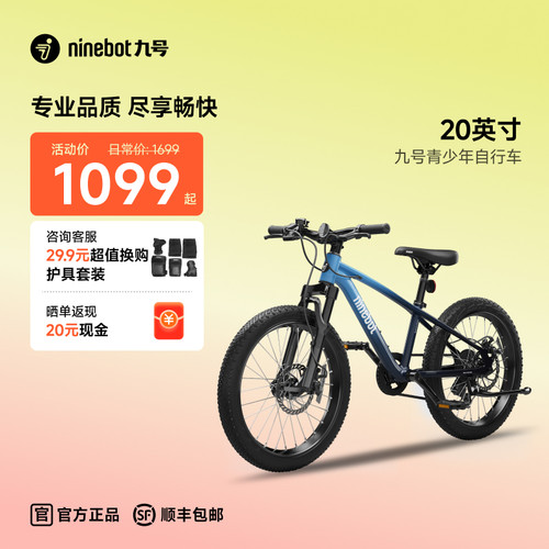 Ninebot九号20英寸青少年自行车