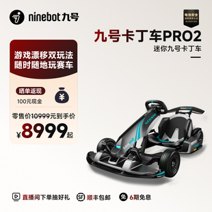 九号Segway卡丁车PRO2成年漂移儿童赛车四轮电动玩具多玩法