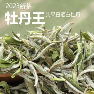 福鼎白茶特级白牡丹 2023春季明前头采高山散装茶新茶 福鼎牡丹王