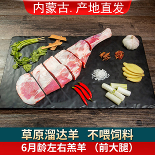 苏尔雅特羊肉羊排新鲜羊肉内蒙古新鲜羔羊腿前大腿 羔羊前腿