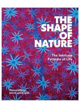 预售 David Maitland The Shape of Nature: The Intricate Patterns of Life自然的形态：生命的精妙图式