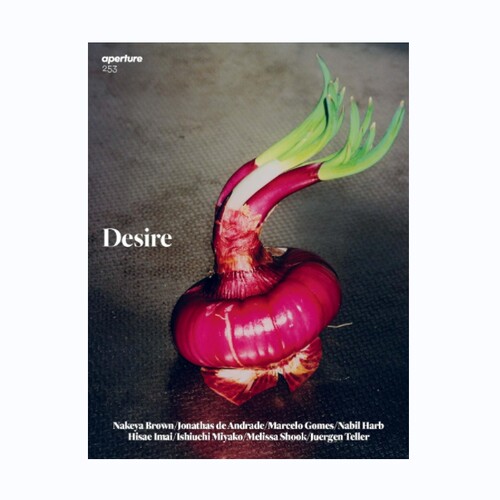 现货 Aperture光圈摄影杂志 253 - Winter 2023 Desire That Obscure Object Of Desire Aperture Magazine摄影杂志