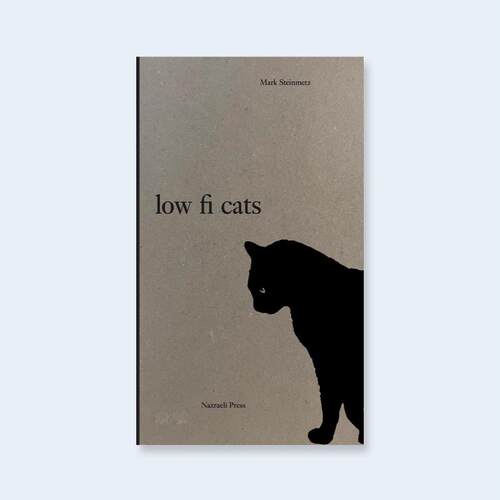 Low-FiCatsSteinmetz