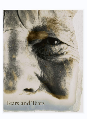 现货 David Bailey: Tears And Tears 英文原版进口艺术摄影 摄影画册 华源时空 Steidl