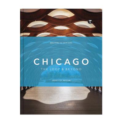 预售 Sam Landers Trope Chicago: The Loop and Beyond芝加哥建筑元素：环路及周边