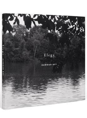 预售 Dawoud Bey: Elegy 达伍德-贝 挽歌 英文原版进口 华源时空