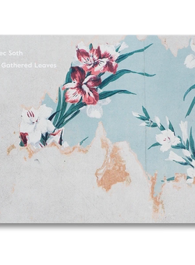 预售 Alec Soth明信片 Alec Soth: Gathered Leaves 亚历克索斯: 收集的树叶 明信片 阿勒克索思 华源时空