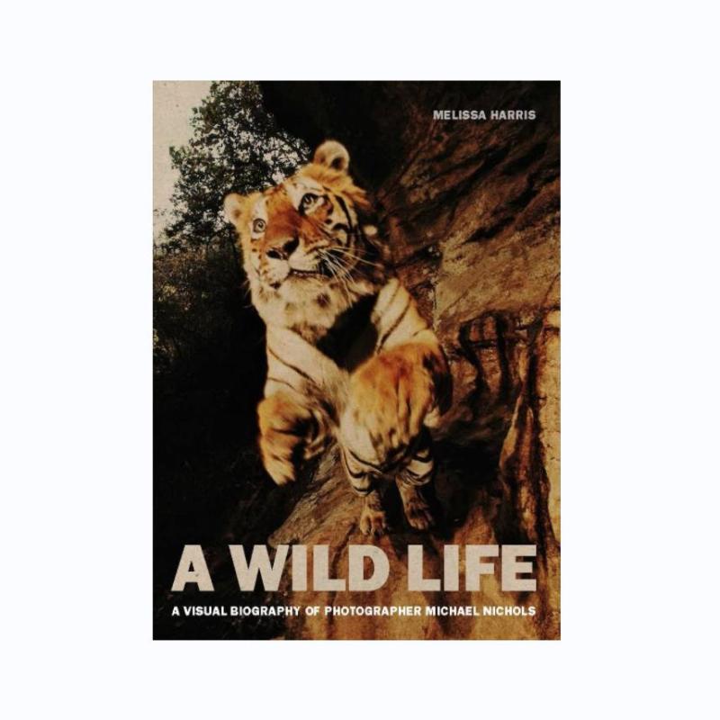 MelissaHarrisAWildLife