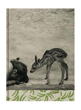 预售 Alain Laboile Summer of the Fawn 法国摄影师阿兰拉波勒作品集 家庭摄影集 《小鹿的夏天》摄影集 华源时空