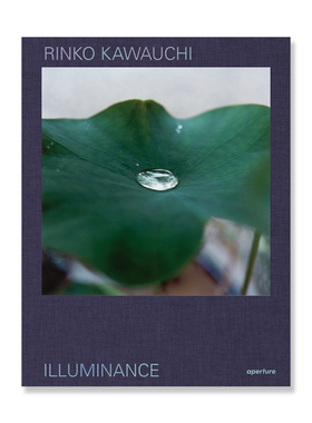 预售60天【保证正品】川内伦子摄影集 照度 Rinko Kawauchi Illuminance 原版摄影画册 川内伦子摄影作品集 十周年纪念版