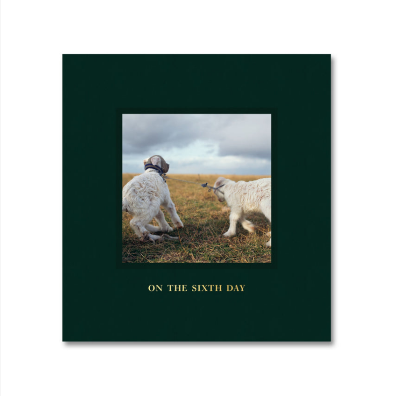 AlessandraSanguinetti