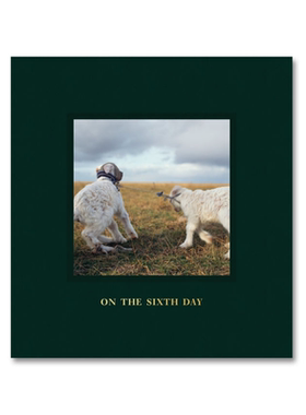 预售 亚历山德拉桑吉内蒂：第六日On The Sixth Day Alessandra Sanguinetti原版艺术摄影书籍  华源时空