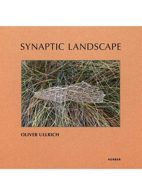 预售 Oliver Ullrich Synaptic Landscape: Oliver Ullrich突触景观：Oliver Ullrich 英文原版摄影书籍 艺术图书 华源时空