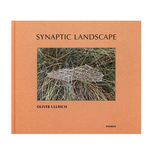 华源时空 英文原版 Oliver Ullrich Synaptic 预售 摄影书籍 Ullrich突触景观：Oliver Landscape 艺术图书