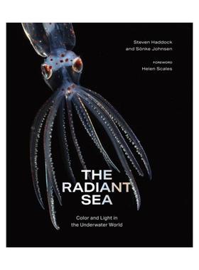 预售 Steven Haddock The Radiant Sea: Color and Light in the Underwater Worldradiant sea：水下世界的色彩与光明