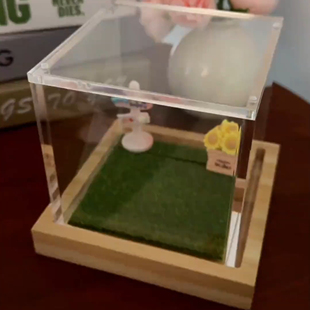 萌宠电子宠物智能伴侣数字纪念品全息投影像爱宠摆件定制