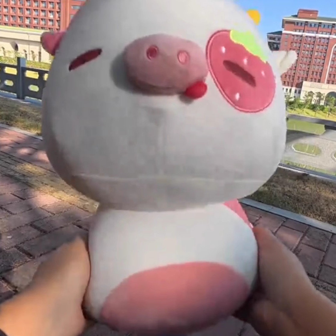 趣瑞克可爱草莓猪毛绒玩具