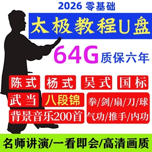太极拳教程视频U盘零基础八段锦陈式杨氏24式刀剑健身功教学课程