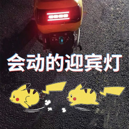 汽车门奔跑皮卡丘卡通动态投影仪摩托电动自行车投影灯改装迎宾灯 - 封面