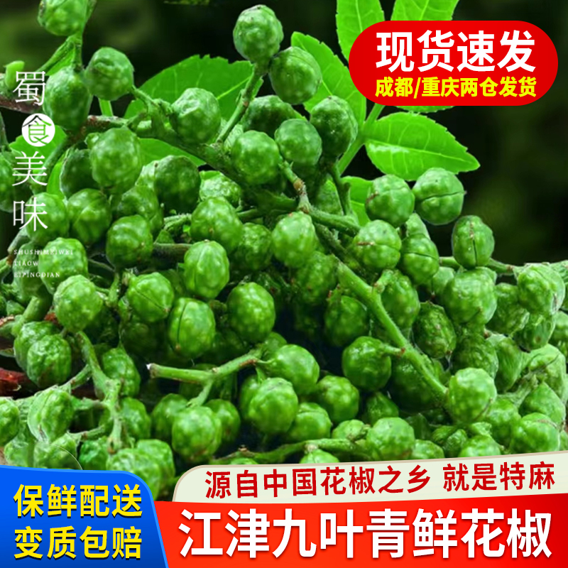 正宗重庆江津鲜青花椒350g藤椒