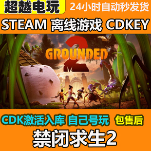 禁闭求生2 Steam正版离线游戏 可激活入库自己号 全DLC包更新