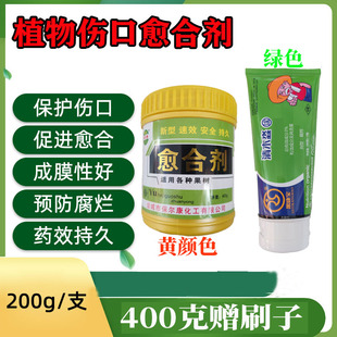 果树植物创可贴果树类剪锯口杀菌剂促愈合防治腐烂病涂抹愈合剂
