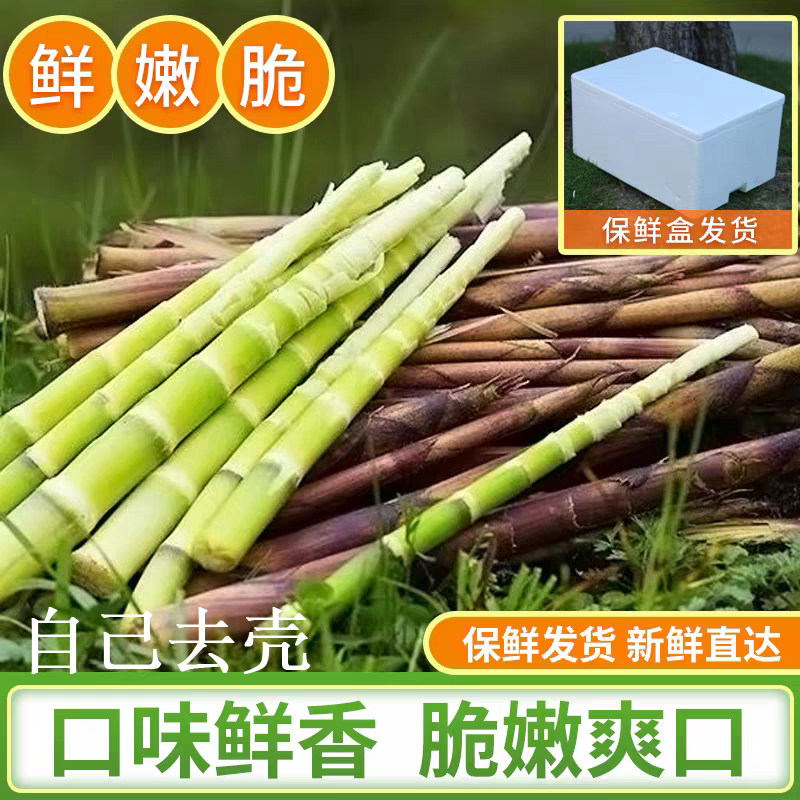 泡椒酸手剥笋小竹笋新鲜野生现拔笋肉春笋尖干纯天然凉拌去笋丝壳