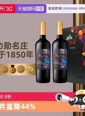 【自营】智利黑蕾牧羊人画廊珍藏赤霞珠干红葡萄酒750ml*2礼盒