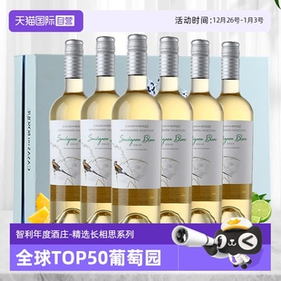 智利原瓶进口精选长相思干白葡萄酒礼盒整箱 全球TOP50园 自营