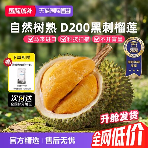 自营马来西亚黑刺榴莲整果树熟
