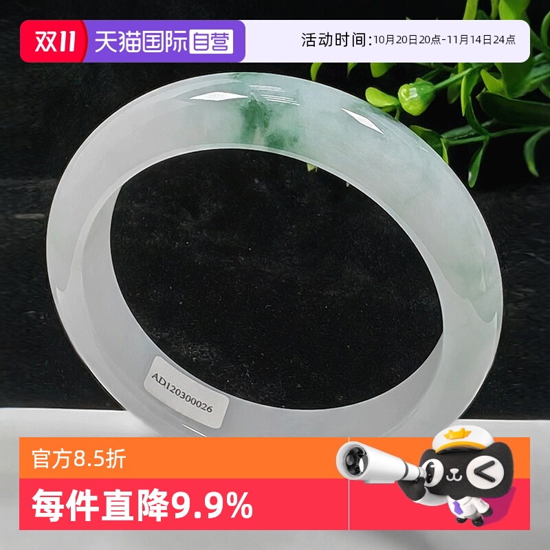 【自营】浅语拾光缅甸天然A货翡翠冰透飘绿花清莹种老水足玉手镯