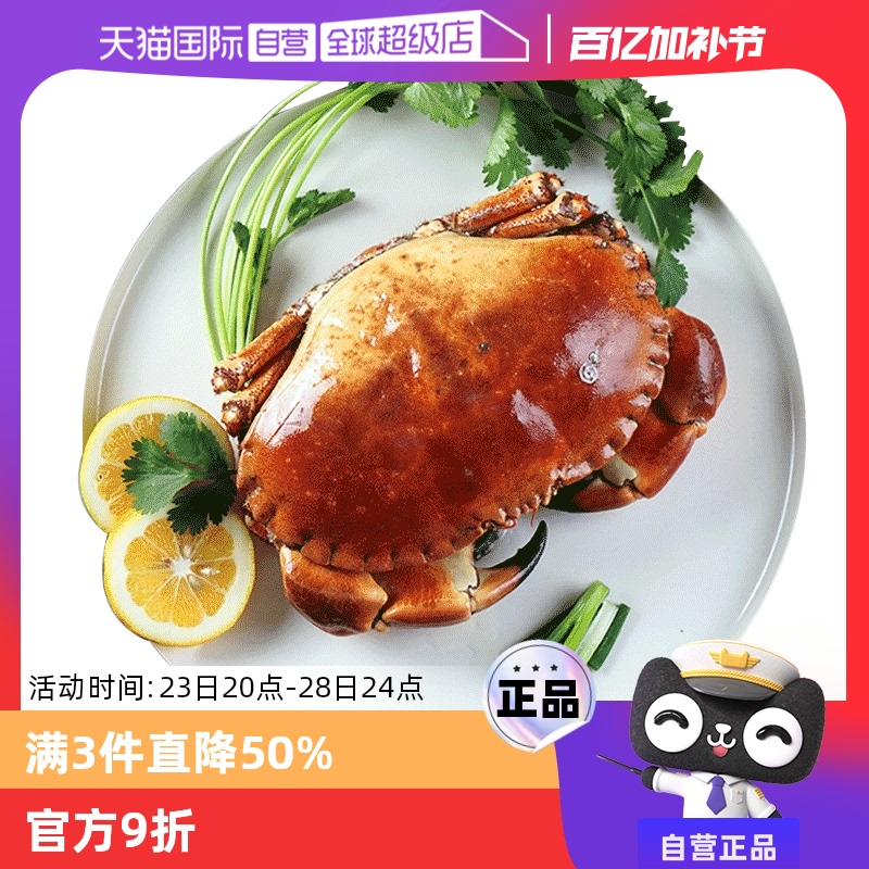 ӪclearwaterӢз춳Ƶз400g-600g/ֻƽз