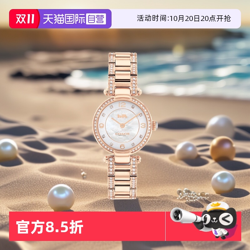 COACH/蔻驰时尚设计欧美腕表