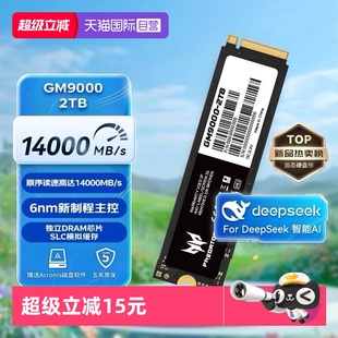 自营 GM9000 宏碁掠夺者 PCIe5.0 2TB SSD固态硬盘M.2接口NVMe
