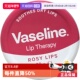原味 滋润护唇膏润唇膏唇膜20g玫瑰味 自营 Vaseline凡士林保湿